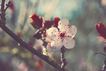 ddos网页在线攻击